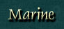 Kim Shaklee Marine Animals Page